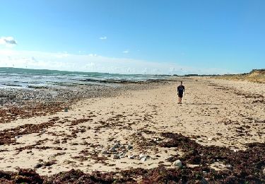 Excursión Senderismo Le Bois-Plage-en-Ré - iledere- jour 1 - Photo