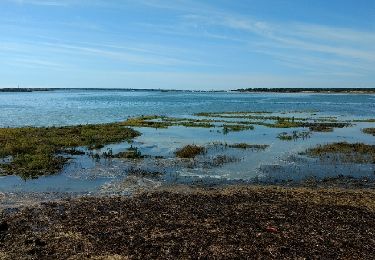 Tour Wandern Le Bois-Plage-en-Ré - ile de Ré jour 3 - Photo