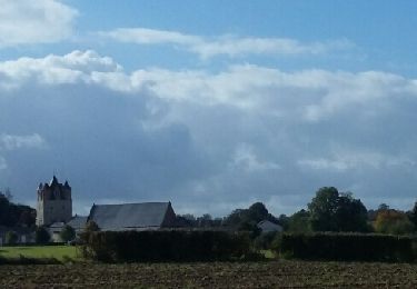 Excursión Senderismo Ottignies-Louvain-la-Neuve - Céroux-Mousty 03 10 2017 Narhalie Demain - Photo