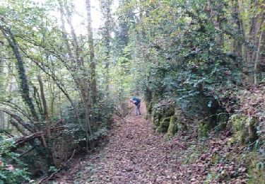 Trail Walking Auzat - 171006.1 EnCours - Photo