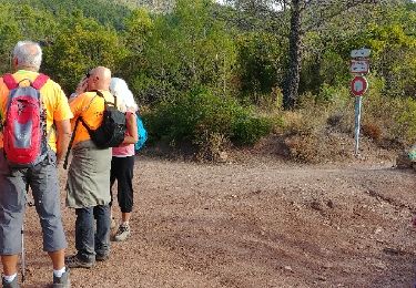 Trail Walking Puget-sur-Argens - la lieutenante - Photo