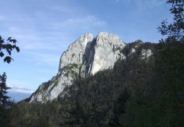 Excursión Senderismo Saint-Nizier-du-Moucherotte - st nizier - Photo