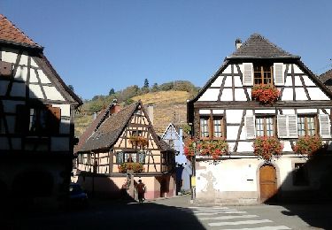 Percorso Marcia Katzenthal - aux alentours de Niedermorschwihr  - Photo