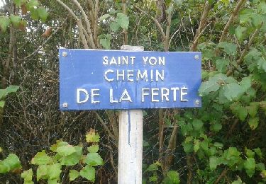 Randonnée Course à pied Breuillet - Breuillet St  yon - Photo