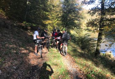 Excursión Bici de montaña Herbeumont - 20171015 Herbeumont Yeyette J3 - Photo