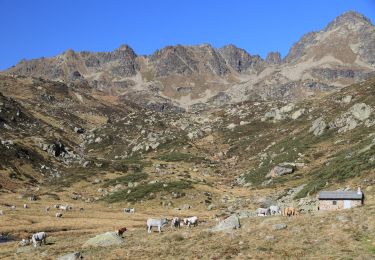 Trail Walking L'Hospitalet-près-l'Andorre - Tour du Nérassol par étangs du Sisca et de Pédoures - Photo