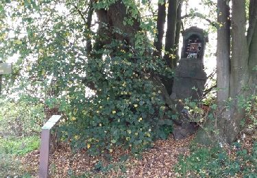 Tocht Stappen Lasne - Lasne Nature Renival-Chapelle Robert 17-10-2017 - Photo