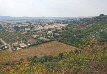 Tocht Mountainbike Rochefort-du-Gard - les 14 km du petit bonhomme  - Photo
