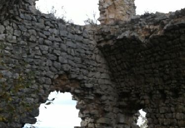 Tocht Stappen Barbières - BARBIERE - Château de Pelafol - Photo