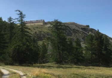Trail Walking Névache - fort de l'olive et de Lenlon  - Photo