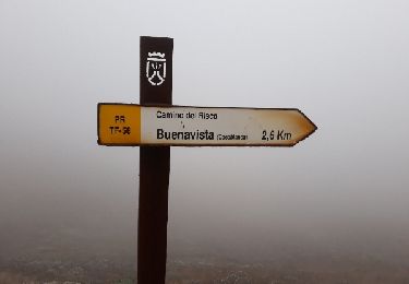 Tour Wandern Buenavista del Norte - Camino del Risco - Photo