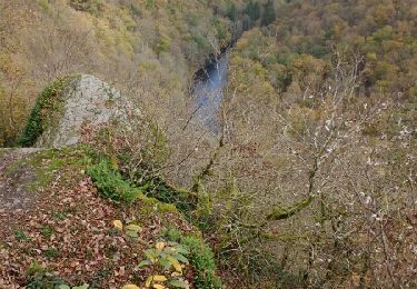 Randonnée Marche La Roche-en-Ardenne - Celtes et Ourthe - Photo
