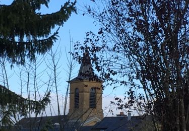 Excursión Marcha nórdica Étalle - Bois de Chantemelle  - Photo