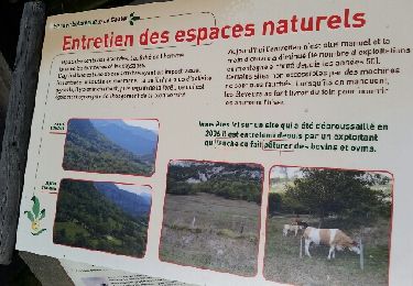 Trail Walking La Tour-en-Maurienne - Le Châtel : sentier botanique des Plagnes - Photo