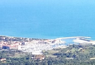 Randonnée Autre activité Argelès-sur-Mer - Argeles sur mer tour de la massane - Photo