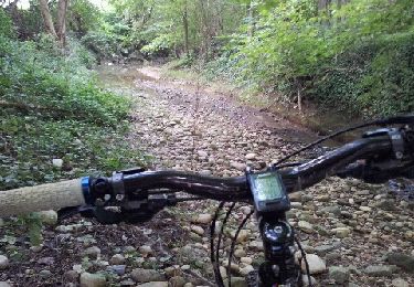 Trail Mountain bike Saint-Pierre-de-Chandieu - autour de la ferme de savoye vers luzinay - Photo