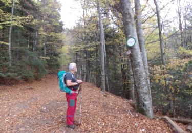 Trail Walking Steinbach - steinbach-becherkopf - Photo