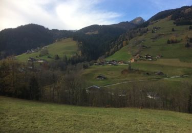 Trail Walking Beaufort - Boucle d' Arêches - Photo