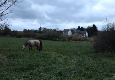 Tocht Paard Neufchâteau - Cousteumont - Hamipré par Marbay et Mon Idée  - Photo