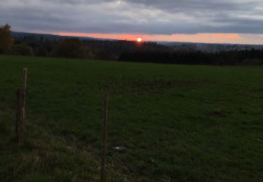 Tocht Stappen Jalhay - Le long de la Hoegne - Photo