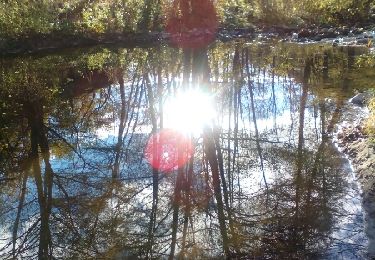 Trail Walking Colombier-le-Vieux - gorges de la daronne - Photo