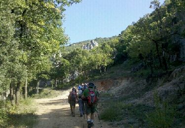 Trail Walking Signes - 83 Le Siou Blanc - Photo
