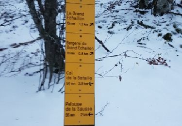 Randonnée Raquettes à neige Léoncel - Grand Echaillon 16 11 2017 - Photo