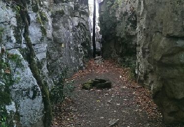 Percorso Marcia Berrias-et-Casteljau - Chassezac - Photo