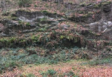 Tocht Stappen Durbuy - Menhir de Wéris - Photo