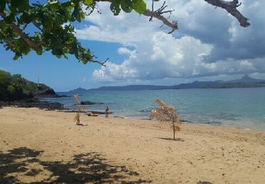 Randonnée Autre activité Bandrélé - kayak a sakouli - Photo