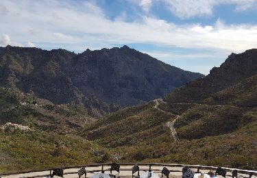 Tour Wandern Santiago del Teide - Van Santiago del Teide via Cumbre de Masca naar Masca en terug met de bus - Photo