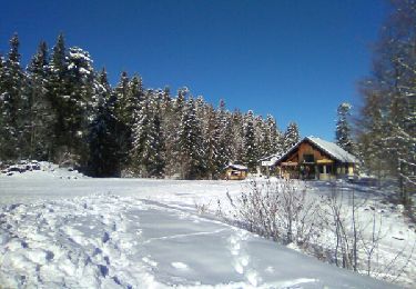 Tocht Sneeuwschoenen Les Déserts - Plainpalais-St François - Photo