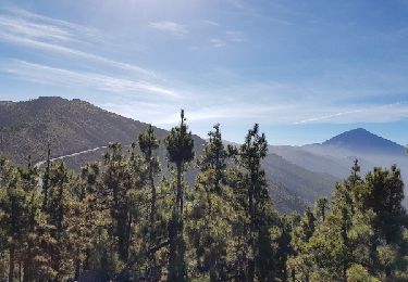 Randonnée Marche La Orotava - Het Candelaria-pad van Aguamansa naar de Cumbre Dorsal  - Photo