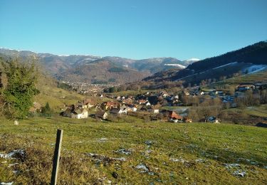 Tour Wandern Mitzach - Mitzach (7/12/2017) - Photo