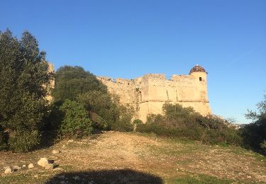 Tocht Stappen Nice - venigrier fort saint Alban - Photo