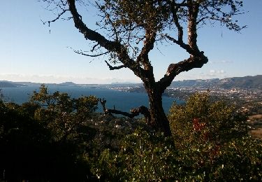 Tour Wandern Le Pradet - la colle noire le15 déc 2017 - Photo