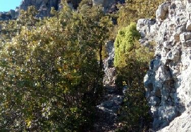 Excursión Senderismo La Roquebrussanne - La Loube - La Roquebrussane - Photo