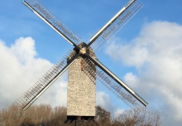 Excursión Senderismo Koksijde - Entre mer et dunes - Photo