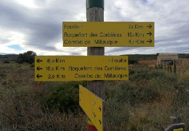 Tocht Stappen Caves - Caves 11 Le sentier des garrigues - Photo