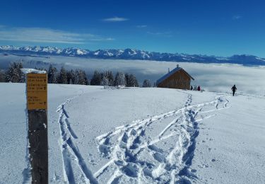 Trail Snowshoes Engins - Le Plateau de Sornin et La Dent du Loup - Photo