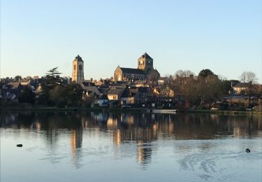 Tour Wandern Saint-Aubin-du-Cormier - 27/12/2017 - ST AUBIN DU CORMIER d'est en ouest.Virtuel - Photo