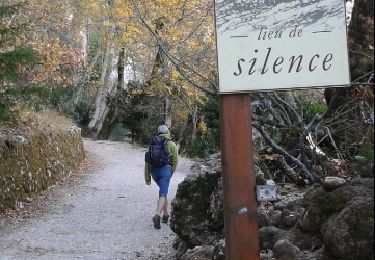 Tour Wandern Plan-d'Aups-Sainte-Baume - grotte sr Marie Madeleine -col st Pilon - Photo