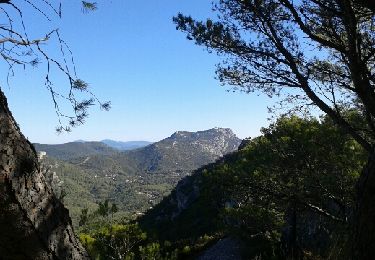 Tour Wandern Toulon - le mont faron - Photo