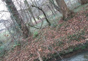 Excursión Senderismo Mont-Saint-Guibert - Mont-Saint-Guibert 09 01 2018 Nathalie Demain - Photo