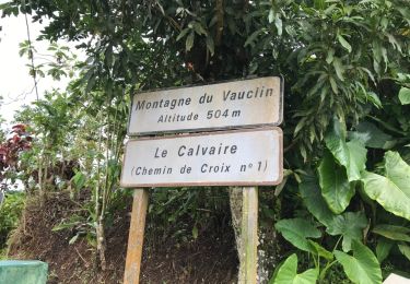 Excursión Otra actividad Le Vauclin - Reco boucle montagne du Vauclin  - Photo