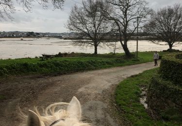 Randonnée Cheval Ploubazlanec - entrai^nement du 9-1-17 Pascale - Photo