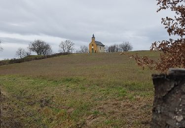 Tour Wandern Lentilly - Chapelle2Lentilly - Photo