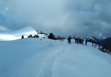 Randonnée Raquettes à neige Sarcenas - Les Crêtes du Mont Fromage - Photo