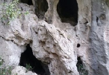 Percorso Marcia La Roquebrussanne - la roquebrussanne St André la grotte aux 400 moutons - Photo