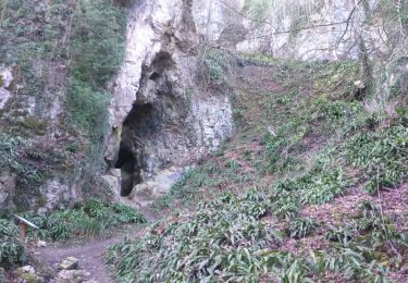 Tour Wandern Dinant - Furfooz et la Lesse - Photo